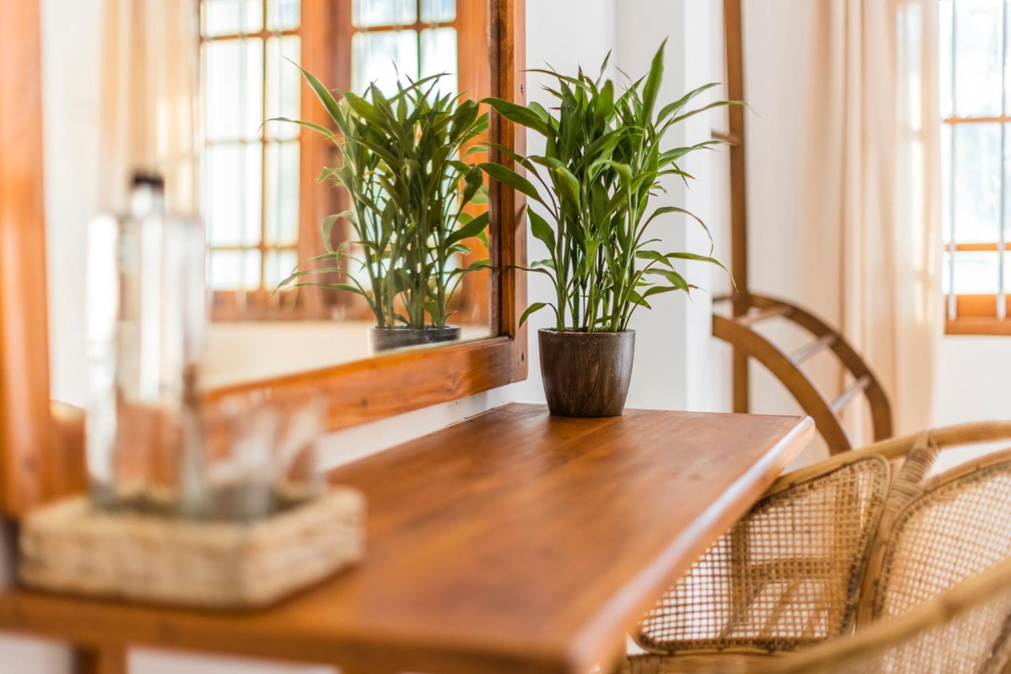 Makai Surf House Hotel Ahangama Ngoại thất bức ảnh
