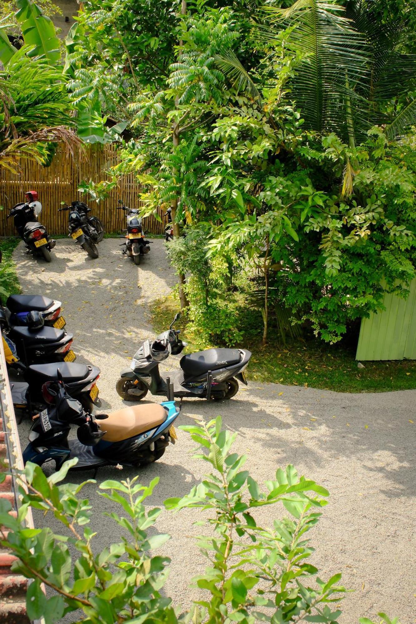 Makai Surf House Hotel Ahangama Ngoại thất bức ảnh